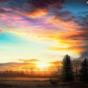 Meet your Posher, Lily